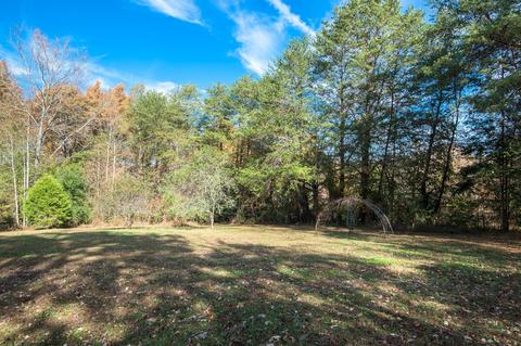 207 Turtle Neck Rd, Fairview, TN 37062 photo 27