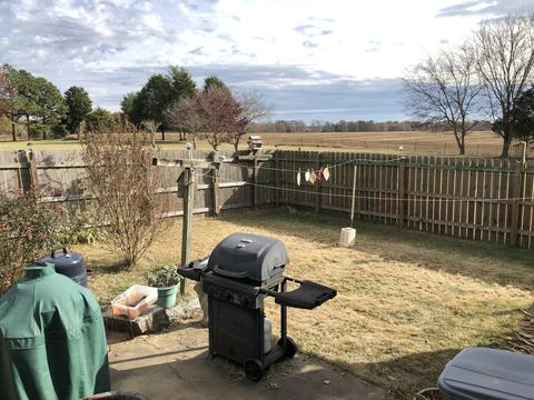 116 Kimberly Dr, Loretto, TN 38469 photo 10