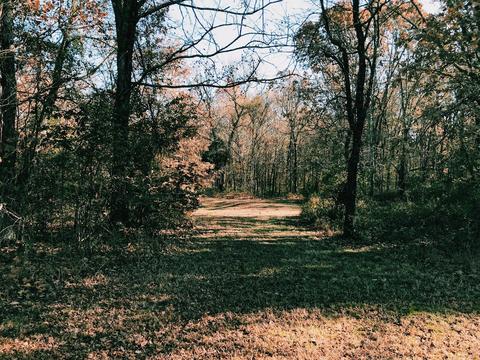 144 Blanton Rd, Eagleville, TN 37060 photo 8