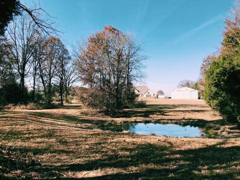 144 Blanton Rd, Eagleville, TN 37060 photo 9
