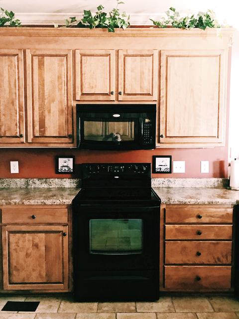 144 Blanton Rd, Eagleville, TN 37060 photo 18
