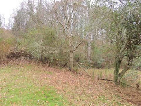547 Sumac Rd, Pulaski, TN 38478 photo 14