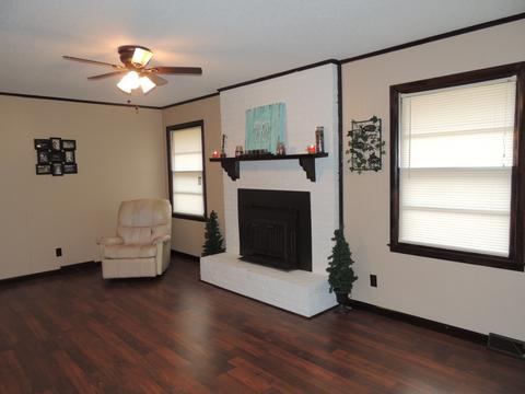 547 Sumac Rd, Pulaski, TN 38478 photo 1