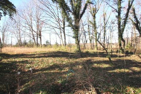 794 Cabbage Patch Rd, Altamont, TN 37301 photo 10
