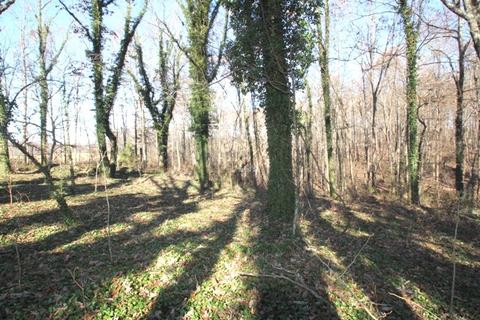 794 Cabbage Patch Rd, Altamont, TN 37301 photo 9