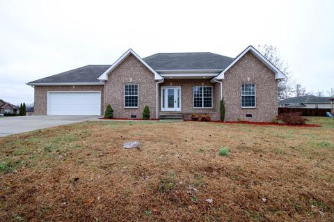 717 Arabian Ln, Springfield, TN 37172 photo 1