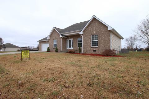 717 Arabian Ln, Springfield, TN 37172 photo 20