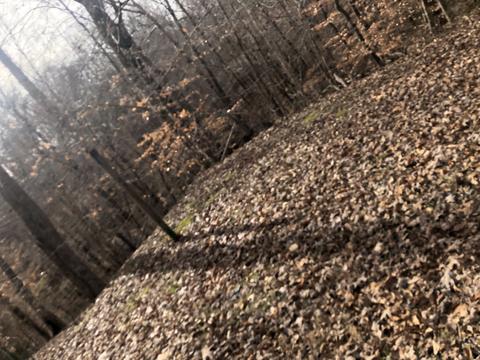 1055 Pack Rd, White Bluff, TN 37187 photo 2