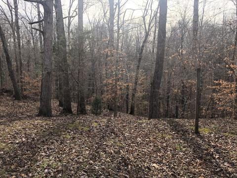 1055 Pack Rd, White Bluff, TN 37187 photo 1