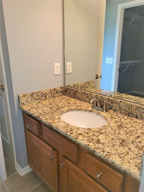 304 Red Bud Ct, Springfield, TN 37172 photo 12