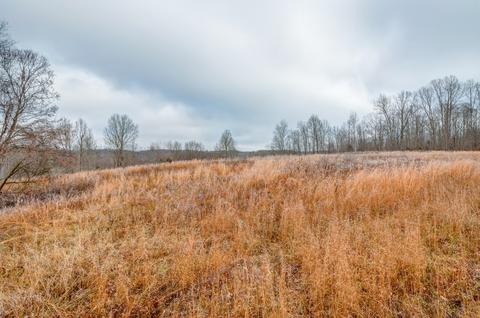 1392 Highway 50 E, Centerville, TN 37033 photo 17