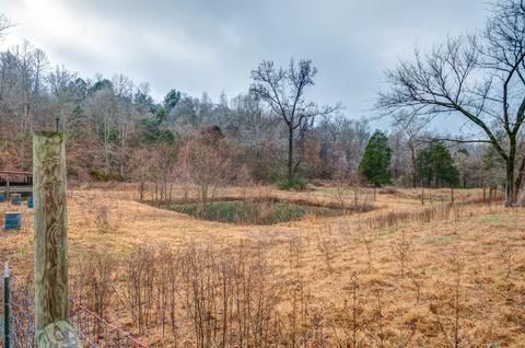 1392 Highway 50 E, Centerville, TN 37033 photo 13