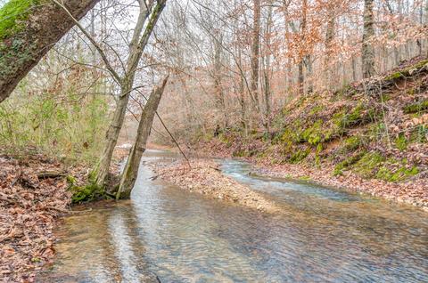 1392 Highway 50 E, Centerville, TN 37033 photo 14