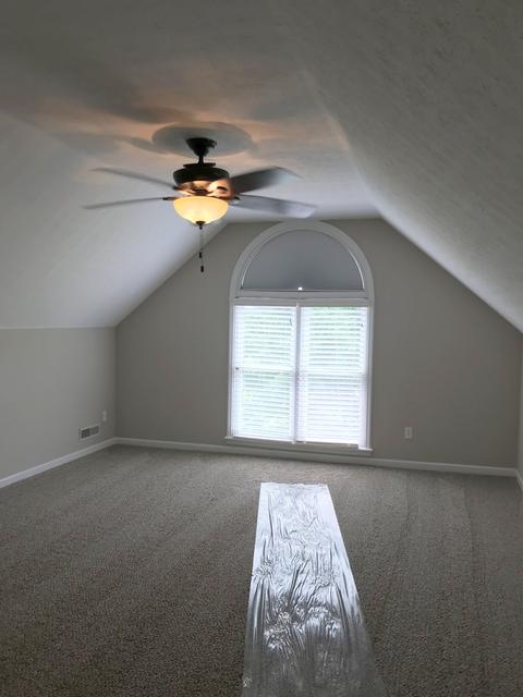 307 Clearview Dr, Springfield, TN 37172 photo 20