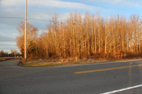 6210 Highway 25 E, Springfield, TN 37172 photo 1