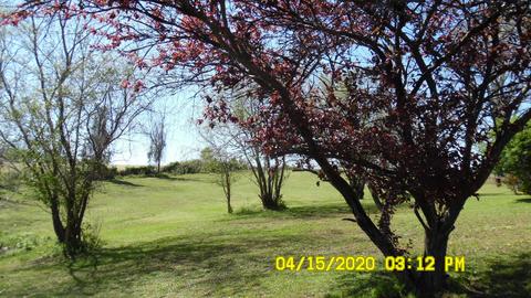 3801 Highway 52 E, Bethpage, TN 37022 photo 2