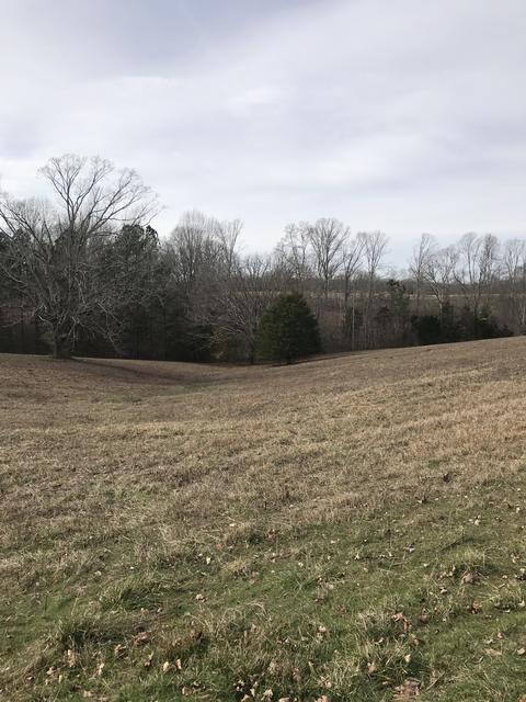 298 Appleton Rd, Five Points, TN 38457 photo 5