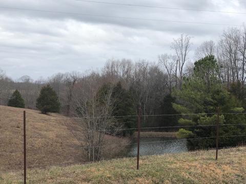 298 Appleton Rd, Five Points, TN 38457 photo 26