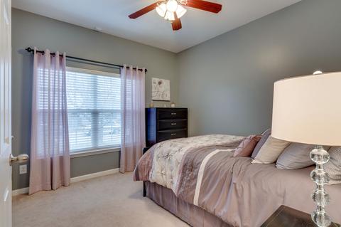 3009 Soaring Eagle Way, Spring Hill, TN 37174 photo 19