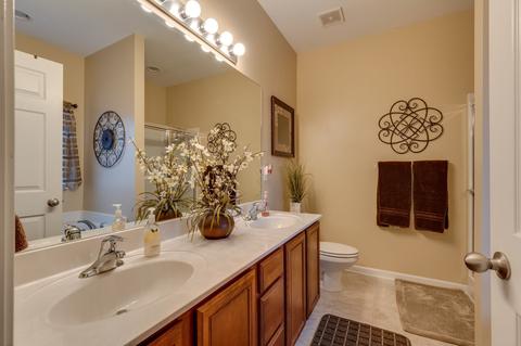 3009 Soaring Eagle Way, Spring Hill, TN 37174 photo 17