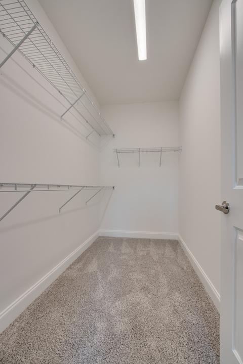 125 Dimaggio Dr, Springfield, TN 37172 photo 29