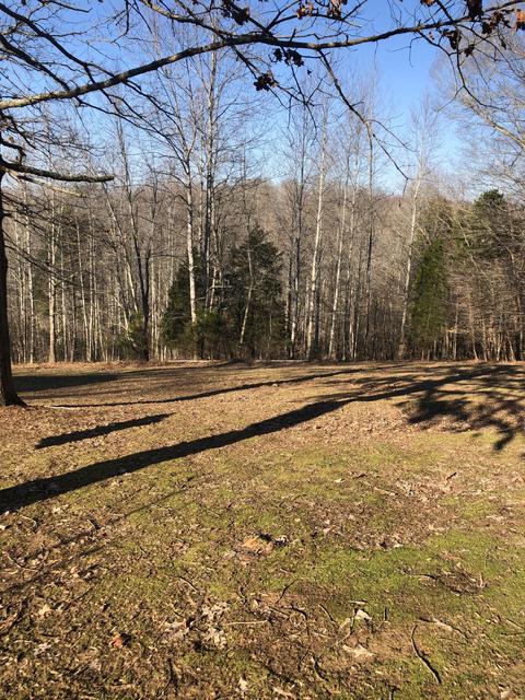 925 Smith Pl, Cunningham, TN 37052 photo 3