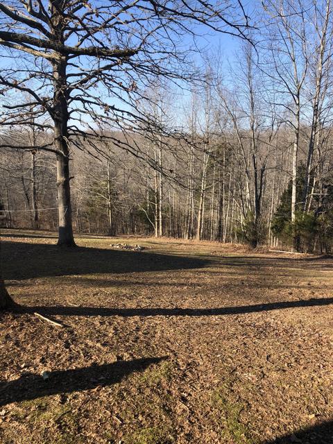 925 Smith Pl, Cunningham, TN 37052 photo 1
