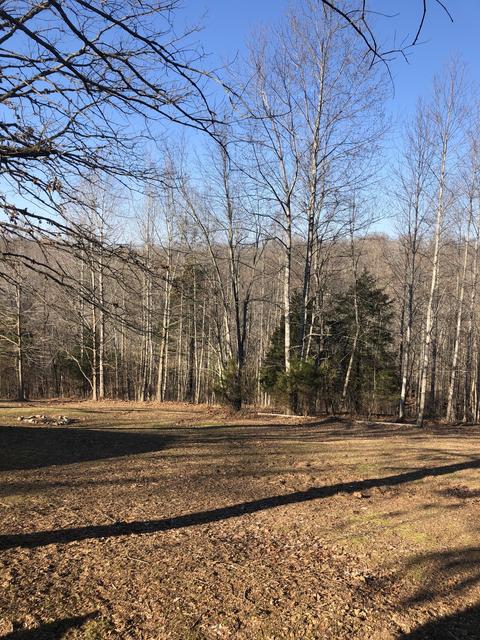 925 Smith Pl, Cunningham, TN 37052 photo 4