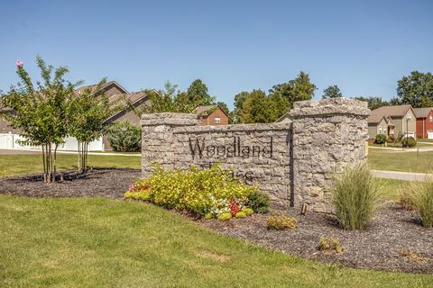 4014 Commons Dr, Spring Hill, TN 37174 photo 3