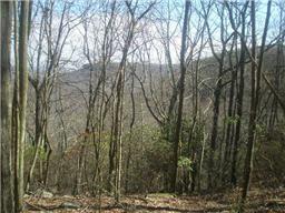 2402 Clifftops Ave, Monteagle, TN 37356 photo 1