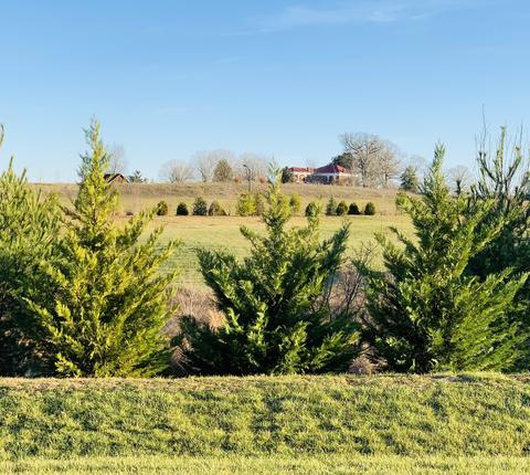 321 Carter Trl, Spring Hill, TN 37174 photo 14