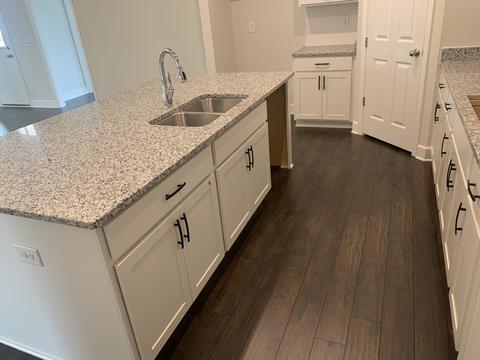 245 Star Pointer Way, Spring Hill, TN 37174 photo 14
