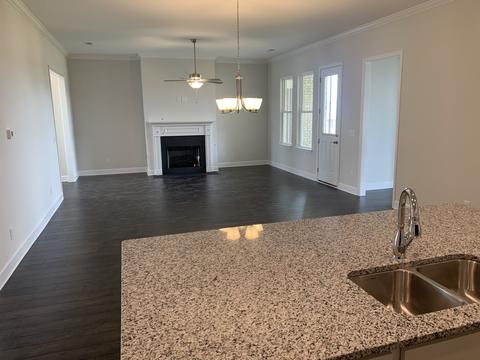 245 Star Pointer Way, Spring Hill, TN 37174 photo 15
