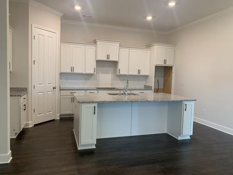 245 Star Pointer Way, Spring Hill, TN 37174 photo 10