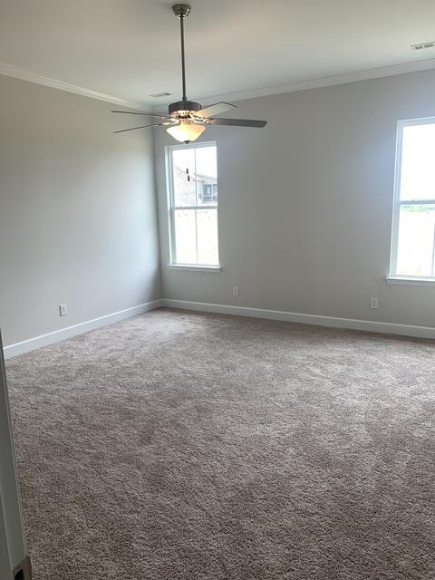 245 Star Pointer Way, Spring Hill, TN 37174 photo 20