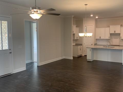 245 Star Pointer Way, Spring Hill, TN 37174 photo 18