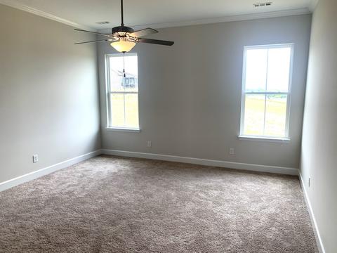 245 Star Pointer Way, Spring Hill, TN 37174 photo 21