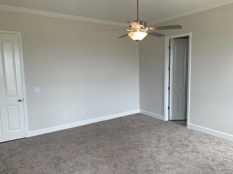 245 Star Pointer Way, Spring Hill, TN 37174 photo 22
