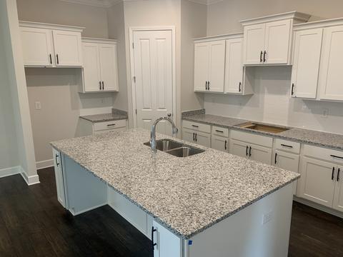 245 Star Pointer Way, Spring Hill, TN 37174 photo 11