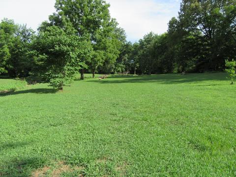 230 W King St, Morrison, TN 37357 photo 7