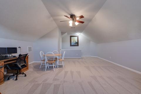 3701 Ivanora Dr, Spring Hill, TN 37174 photo 21