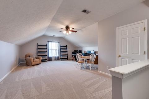 3701 Ivanora Dr, Spring Hill, TN 37174 photo 20