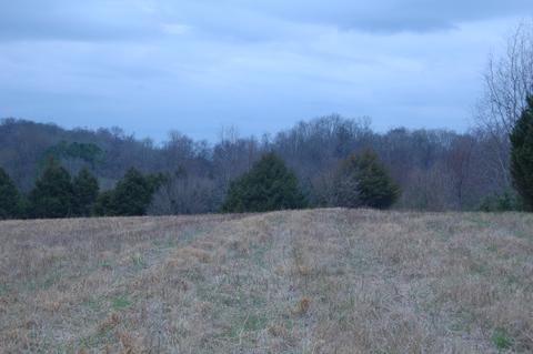 175 Rambling Rdg, Pulaski, TN 38478 photo 1
