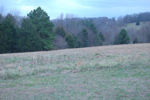 175 Rambling Rdg, Pulaski, TN 38478 photo 3