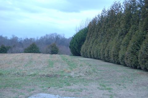 175 Rambling Rdg, Pulaski, TN 38478 photo 2
