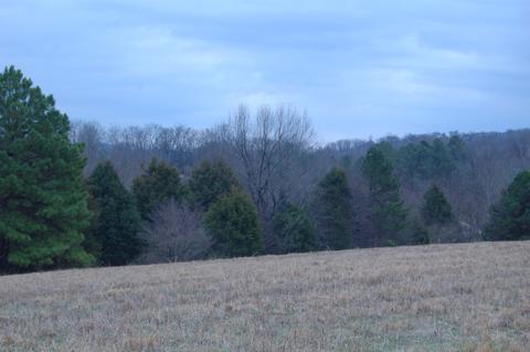 175 Rambling Rdg, Pulaski, TN 38478 photo 5
