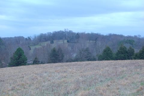 175 Rambling Rdg, Pulaski, TN 38478 photo 6