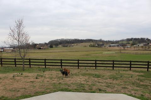 137 Eaglecrest Dr, Eagleville, TN 37060 photo 26