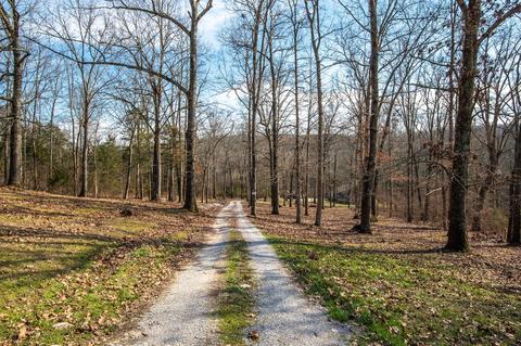 1111 Robertson Rd, Spring Hill, TN 37174 photo 2