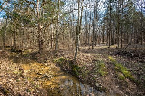 1111 Robertson Rd, Spring Hill, TN 37174 photo 29